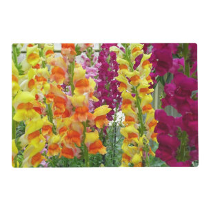 Snapdragons Colorful Floral Placemat