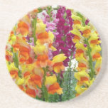 Snapdragons Colorful Floral Sandstone Coaster