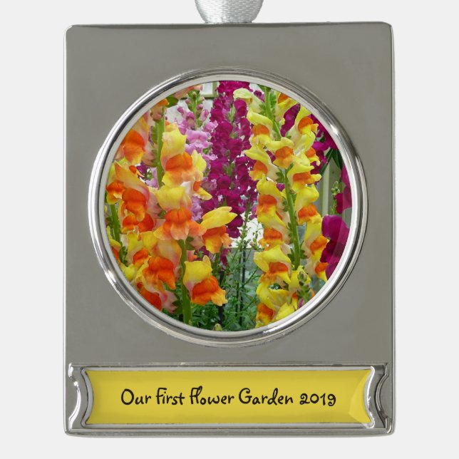 Snapdragons Colorful Floral Silver Plated Banner Ornament (Front)