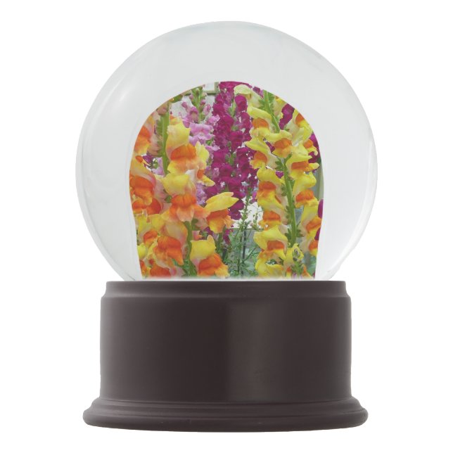 Snapdragons Colorful Floral Snow Globe (Front)