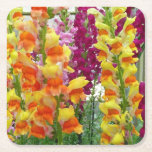 Snapdragons Colorful Floral Square Paper Coaster