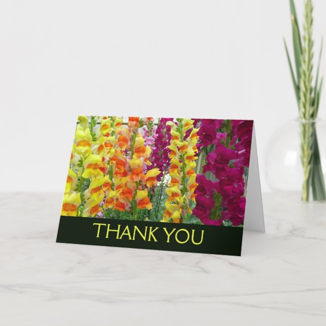 Snapdragons Colorful Floral Thank You Card (Front)