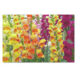 Snapdragons Colorful Floral Tissue Paper