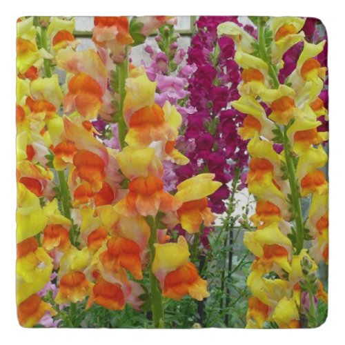 Snapdragons Colorful Floral Trivet