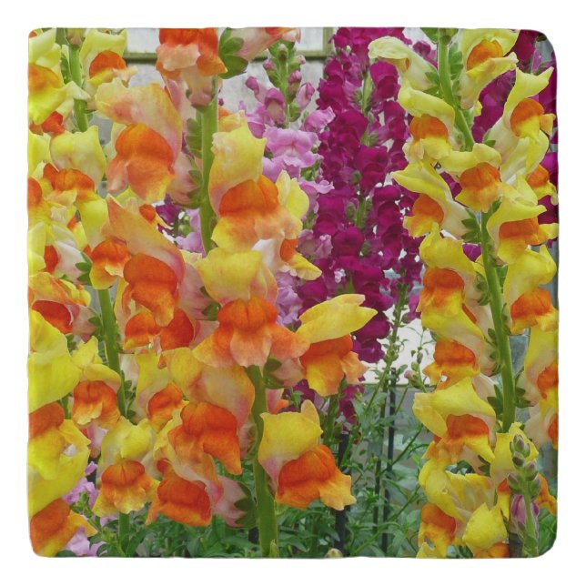 Snapdragons Colorful Floral Trivet (Front)