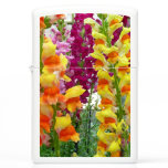 Snapdragons Colorful Floral Zippo Lighter