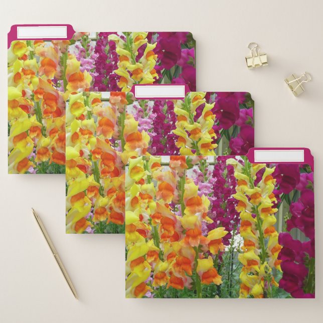 Snapdragons File Folder (Set)