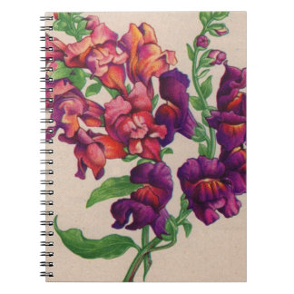 snapdragons notebook