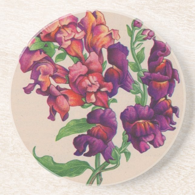 snapdragons sandstone coaster (Front)
