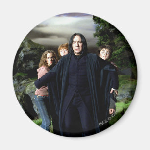 Snape Hermoine Ron Harry Magnet