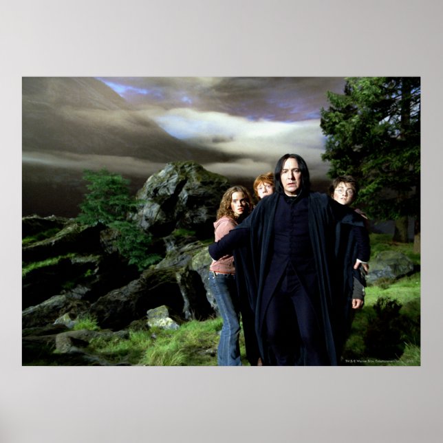 Snape Hermoine Ron Harry Poster (Front)