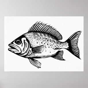 Snapper - Fish Print