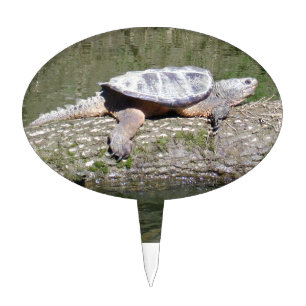 Snapping Turtle Cake Topper