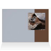 Snapping Turtle Cards (Inside Horizontal (Top))