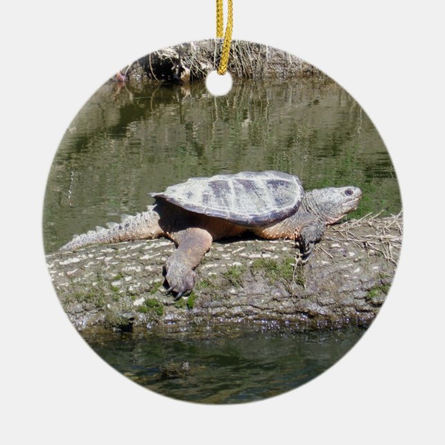Snapping Turtle Ceramic Ornament (Front)