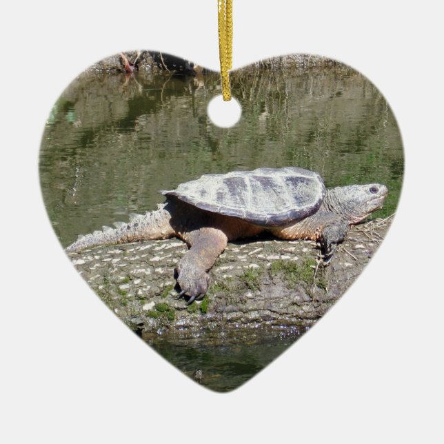 Snapping Turtle Ceramic Ornament (Front)