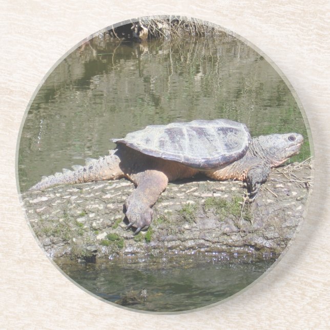 Snapping Turtle Coaster (Front)