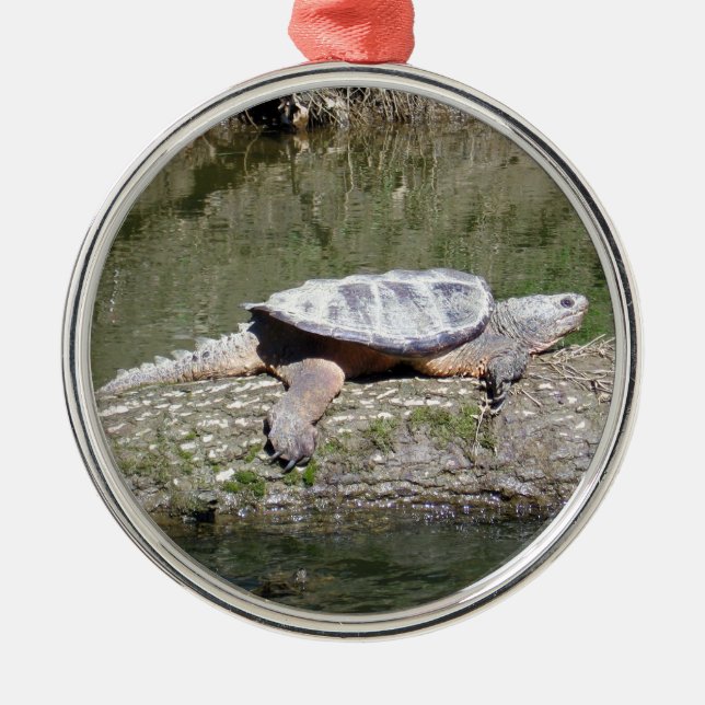 Snapping Turtle Metal Ornament (Front)