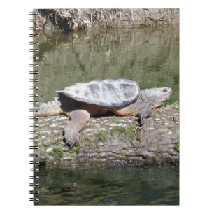 Snapping Turtle Notebook