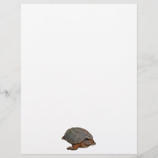 Snapping Turtle Terrapin-lover Gift