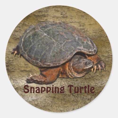 Snapping Turtle Terrapin_lover Gift Classic Round Sticker