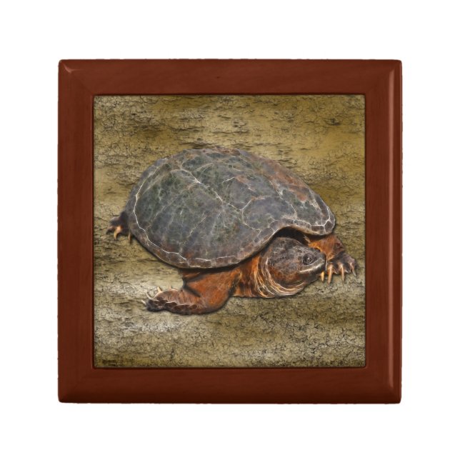 Snapping Turtle Terrapin-lover Gift Gift Box (Front)