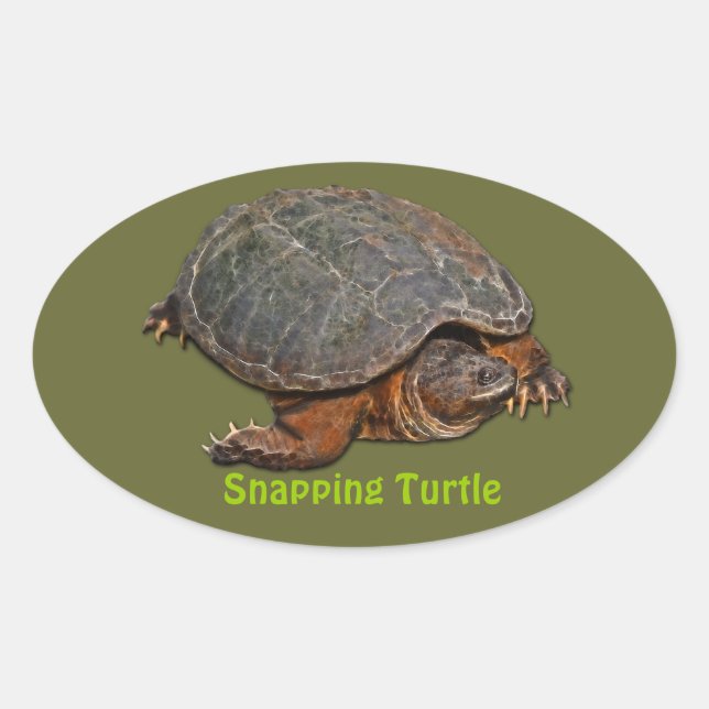 Snapping Turtle Terrapin-lover Gift Oval Sticker (Front)