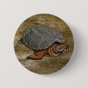 Snapping Turtle Terrapin-lover Gift Pinback Button