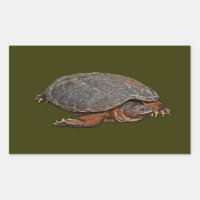 Snapping Turtle Terrapin-lover Gift