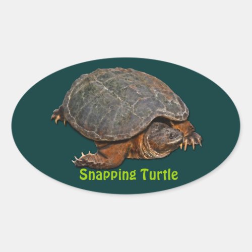 Snapping Turtle Terrapin_lover Stickers
