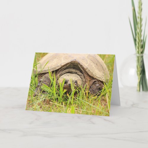 Snapping Turtle Wildlife Birthday Card