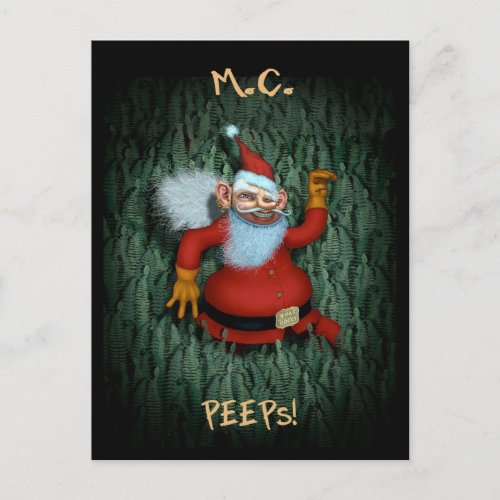 Snappy Christmas Holiday Postcard