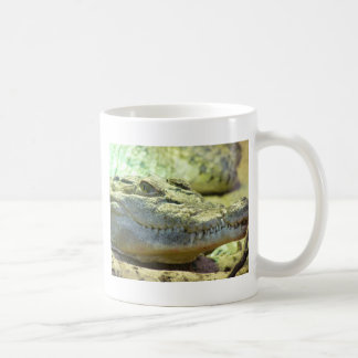 snappy coffee mug