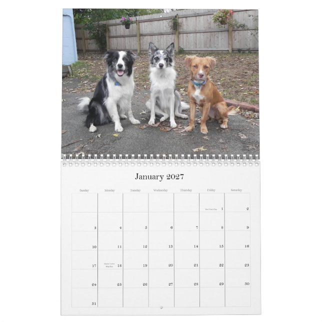 Snapshots From The Funny Farm 2012 calendar (Jan 2027)