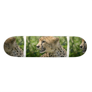 Snarling Cheetah Skateboard