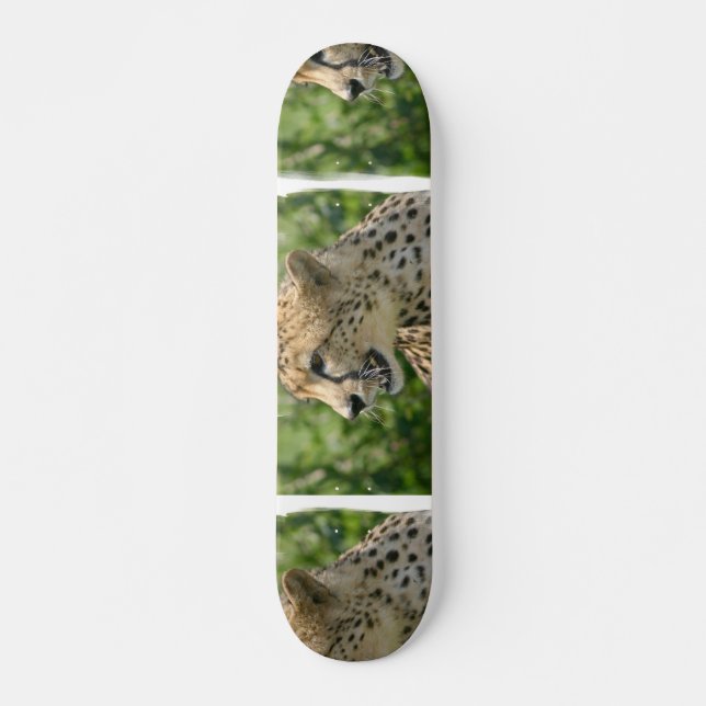 Snarling Cheetah  Skateboard Deck (Front)