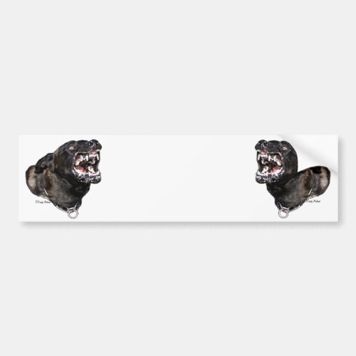 Snarling Dutch Shepherd Police Dog bumpersticker Bumper Sticker