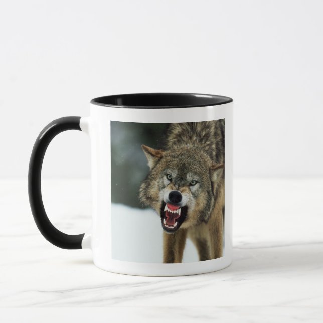Snarling gray wolf mug (Left)