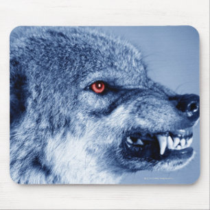 Snarling wolf (Canis Lupus), profile (Digital Mouse Pad