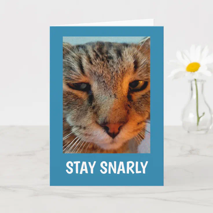 Snarly Cat Cancer Support Card | Zazzle