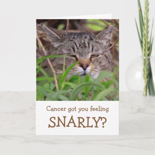 Snarly Cat Funny Cancer Folded Greeting Card