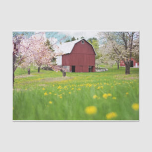 Snazzy Red Barn Posing With Pink Trees and Flowers Tissue Paper