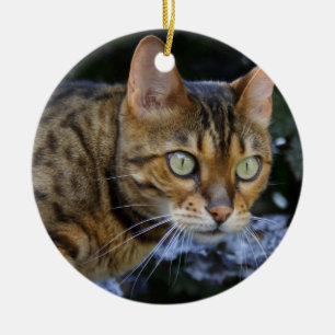 Sneaking Bengal Cat Ceramic Ornament
