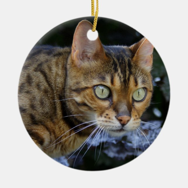 Sneaking Bengal Cat Ceramic Ornament (Front)
