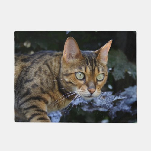 Sneaking Bengal Cat Doormat