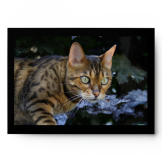 Sneaking Bengal Cat Envelope