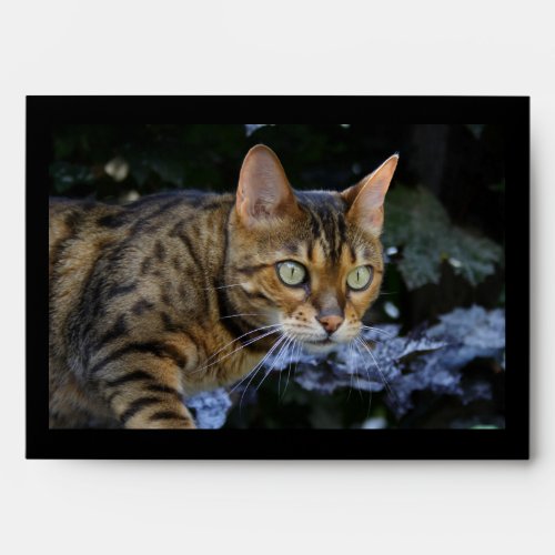 Sneaking Bengal Cat Envelope