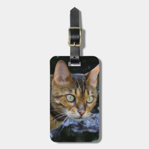 Sneaking Bengal Cat Luggage Tag
