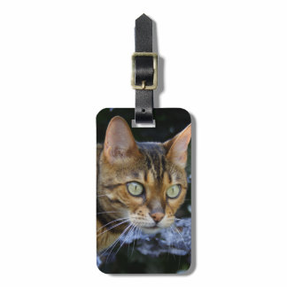 Sneaking Bengal Cat Luggage Tag