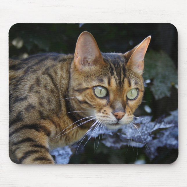 Sneaking Bengal Cat Mouse Pad (Front)